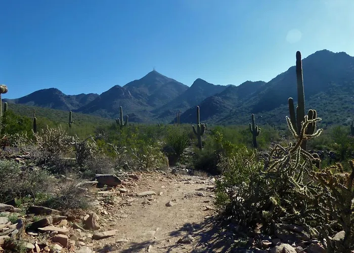 Luxury Vacation By Meridian Condoresorts Scottsdale